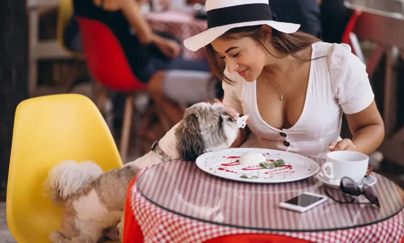 Faturamento com Foco na Humanizacao