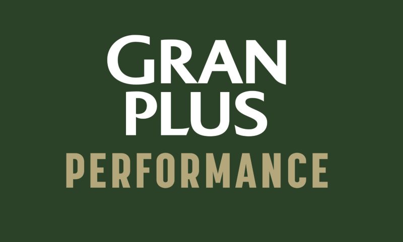 GRAN PLUS 3